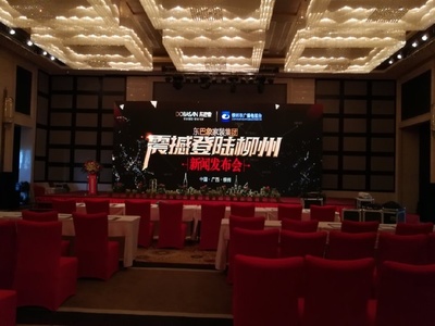 東巴象家裝集團(tuán)柳州新聞發(fā)布會(huì)成功舉辦，引領(lǐng)家居定制新篇章